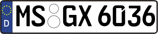 MS-GX6036