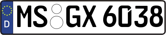 MS-GX6038