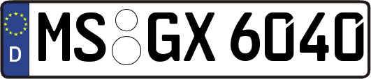 MS-GX6040