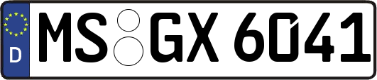 MS-GX6041