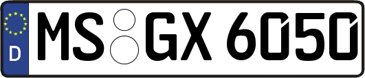 MS-GX6050