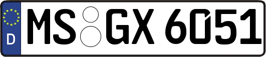 MS-GX6051