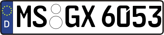 MS-GX6053