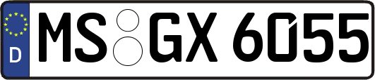 MS-GX6055