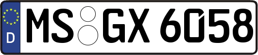 MS-GX6058