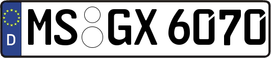 MS-GX6070