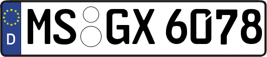 MS-GX6078