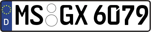 MS-GX6079