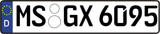 MS-GX6095