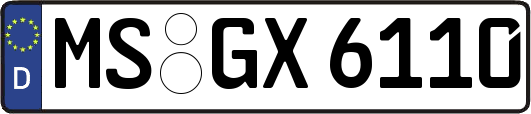 MS-GX6110
