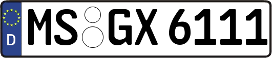 MS-GX6111