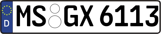 MS-GX6113