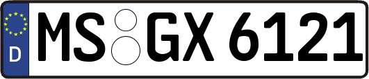 MS-GX6121