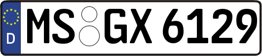 MS-GX6129