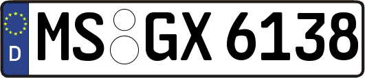 MS-GX6138