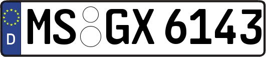 MS-GX6143
