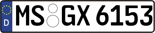 MS-GX6153