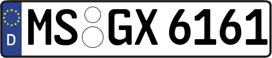 MS-GX6161