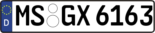 MS-GX6163