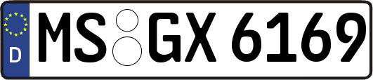 MS-GX6169