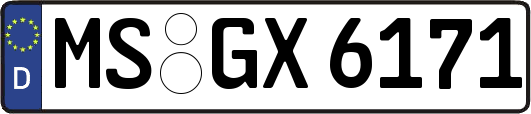 MS-GX6171