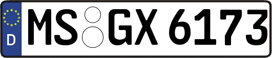 MS-GX6173