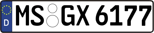 MS-GX6177