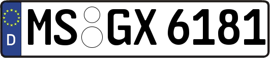 MS-GX6181