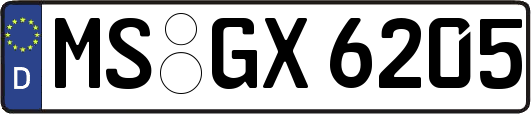 MS-GX6205