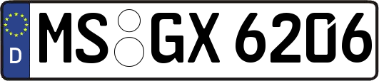 MS-GX6206