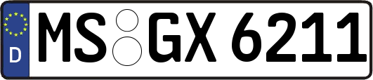 MS-GX6211