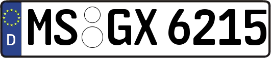 MS-GX6215