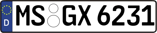 MS-GX6231