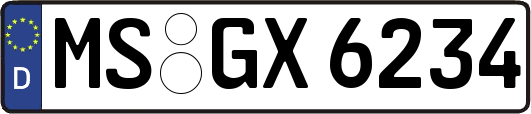 MS-GX6234