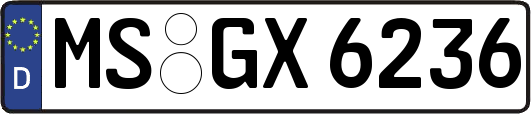 MS-GX6236