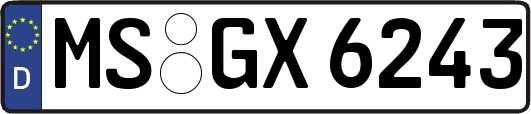 MS-GX6243