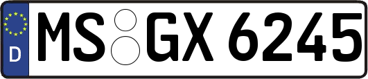 MS-GX6245