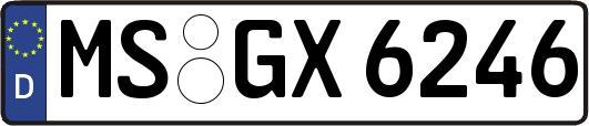 MS-GX6246
