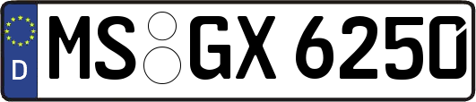 MS-GX6250