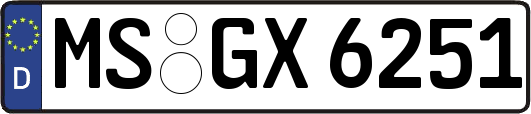 MS-GX6251