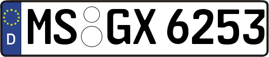 MS-GX6253