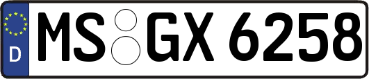 MS-GX6258