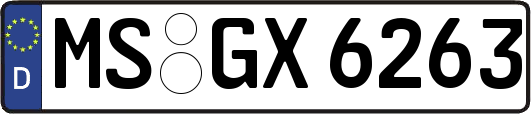 MS-GX6263