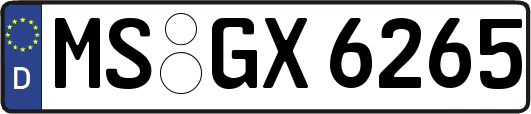 MS-GX6265