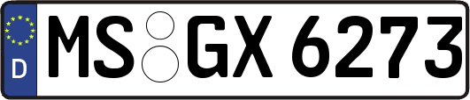 MS-GX6273