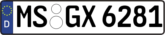 MS-GX6281