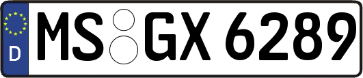 MS-GX6289