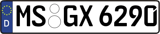 MS-GX6290