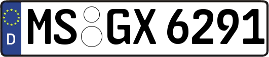 MS-GX6291