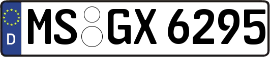 MS-GX6295